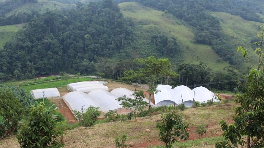 Espacios de reincorporación Farc. Foto: Colprensa