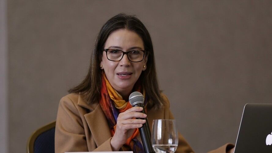 La actual viceministra para Asuntos Multilaterales, Adriana Mejía, presentó su renuncia al cargo a partir del 9 de agosto. Foto: Colprensa / ÁLVARO TAVERA