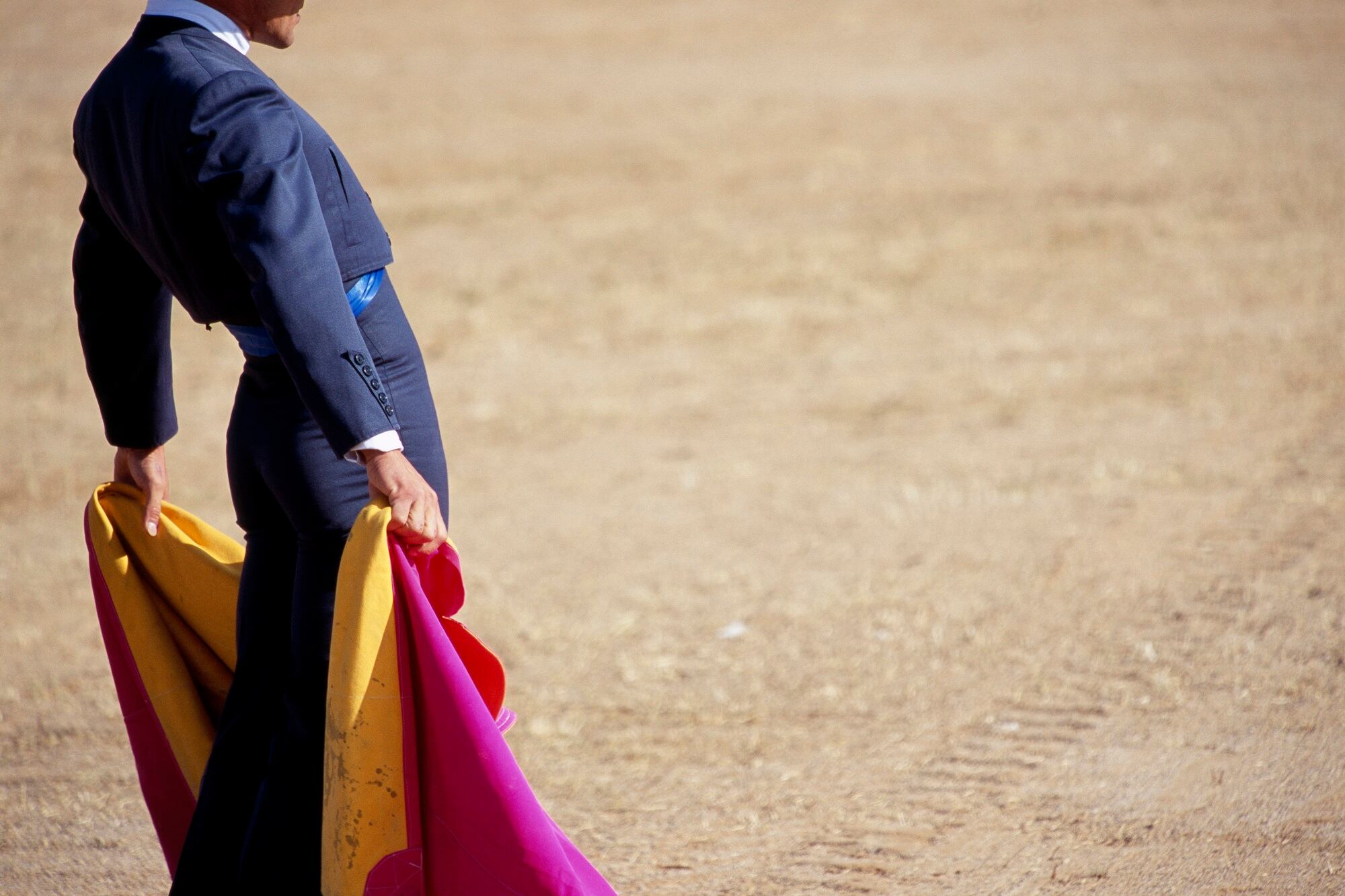 Imagen de referencia de toreto. Foto: Getty Images
