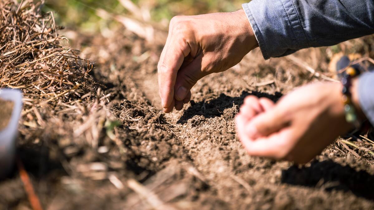 El Gobierno sigue entregando tierras adjudicando títulos de propiedad en el Casanare