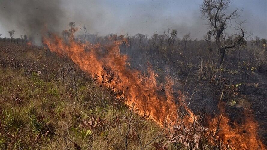 Incendios en Bolivia consumen 2 millones de hectáreas desde agosto. Foto: Getty Images
