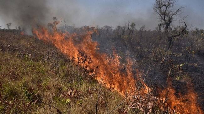 Incendios en Bolivia consumen 2 millones de hectáreas desde agosto. Foto: Getty Images