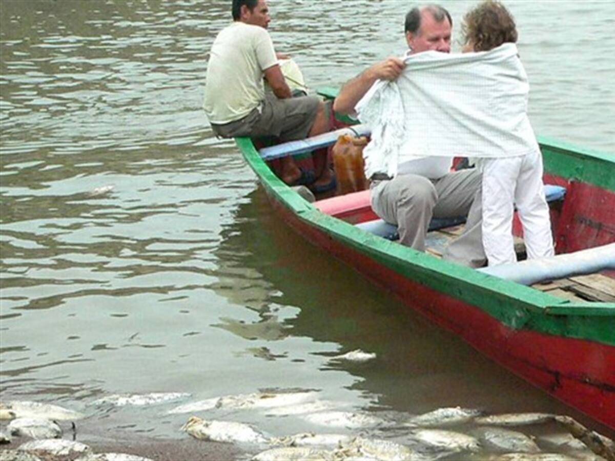 Llenar el Río Cauca no es como llenar una piscina, los daños son irreversibles: expertos