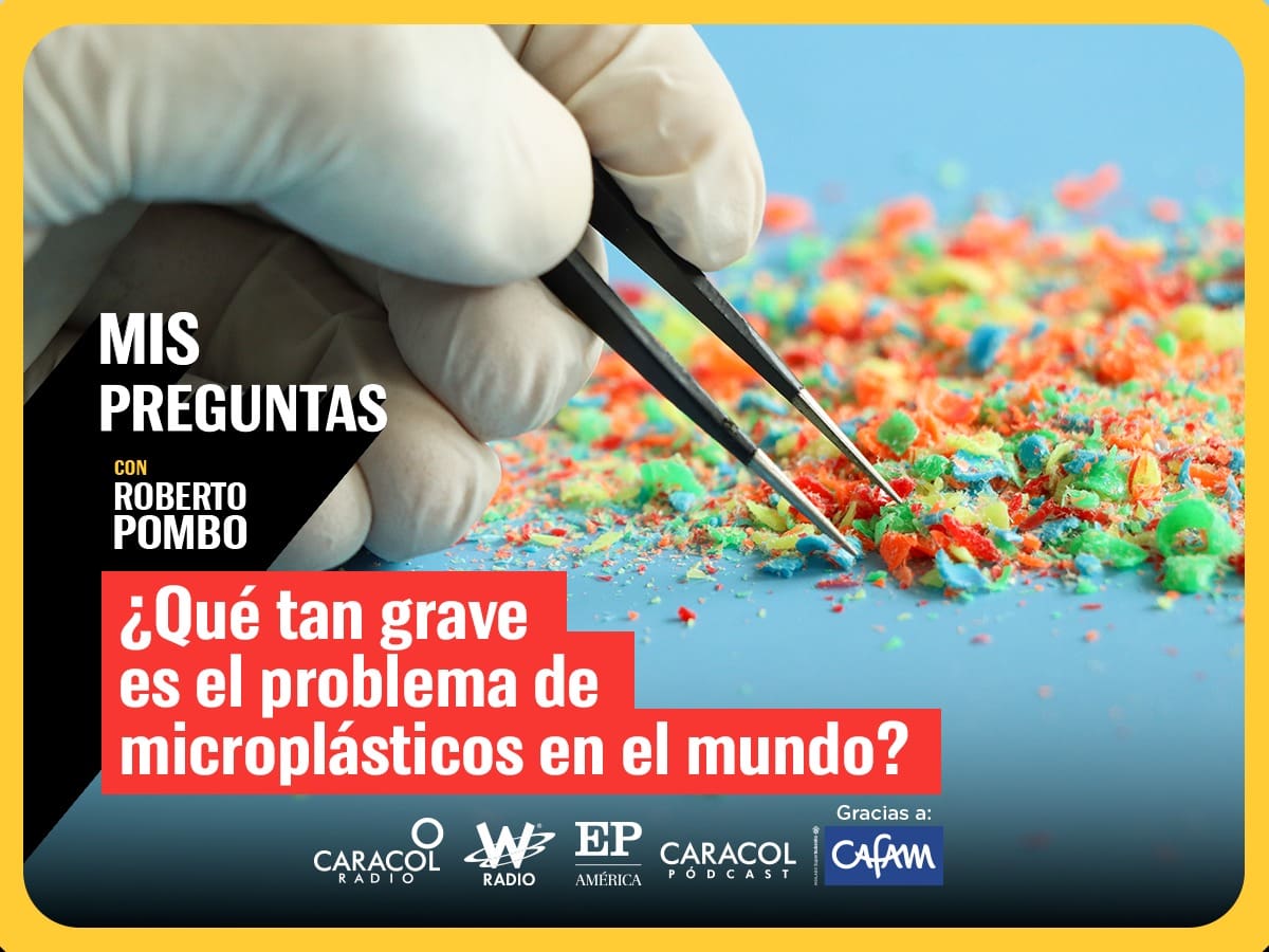 ¿Qué tan grave es el problema de microplásticos en el mundo?