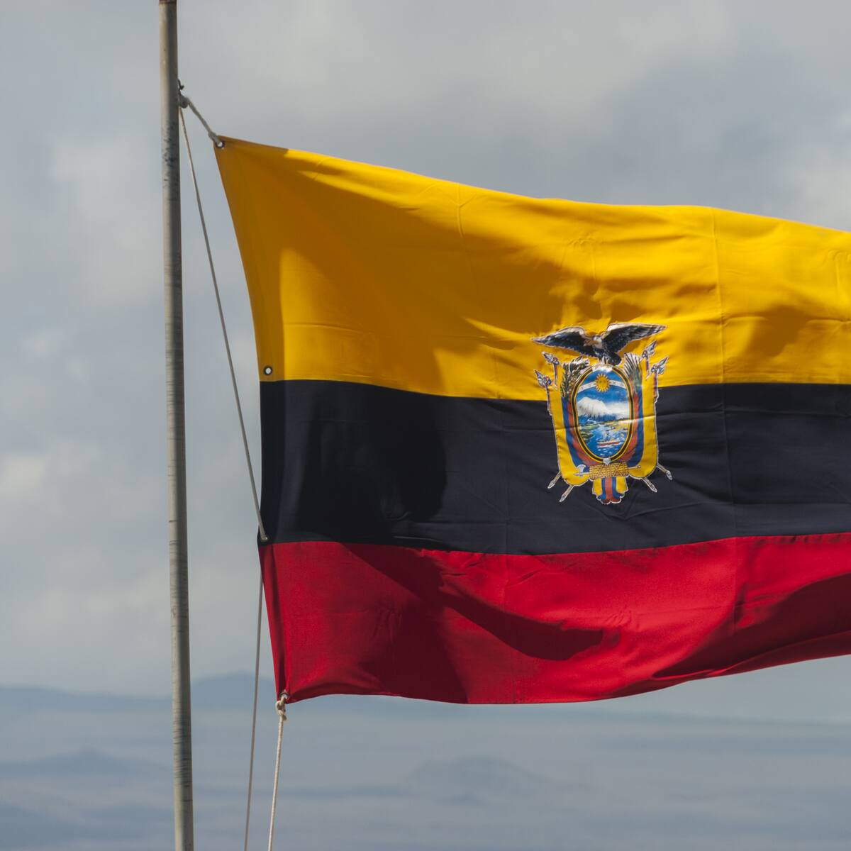 Ecuador aplicará tarifa de 20 dólares a compras en exterior importadas por servicio postal