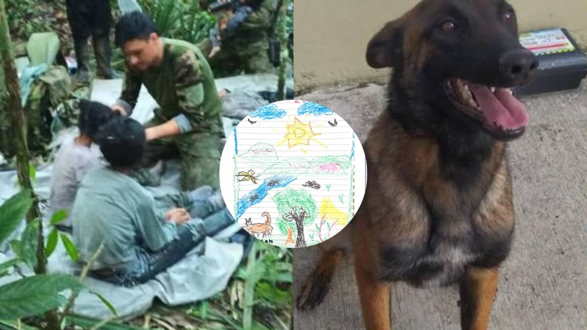 Los dibujos con los que niños rescatados en la selva confirman que estuvieron con Wilson