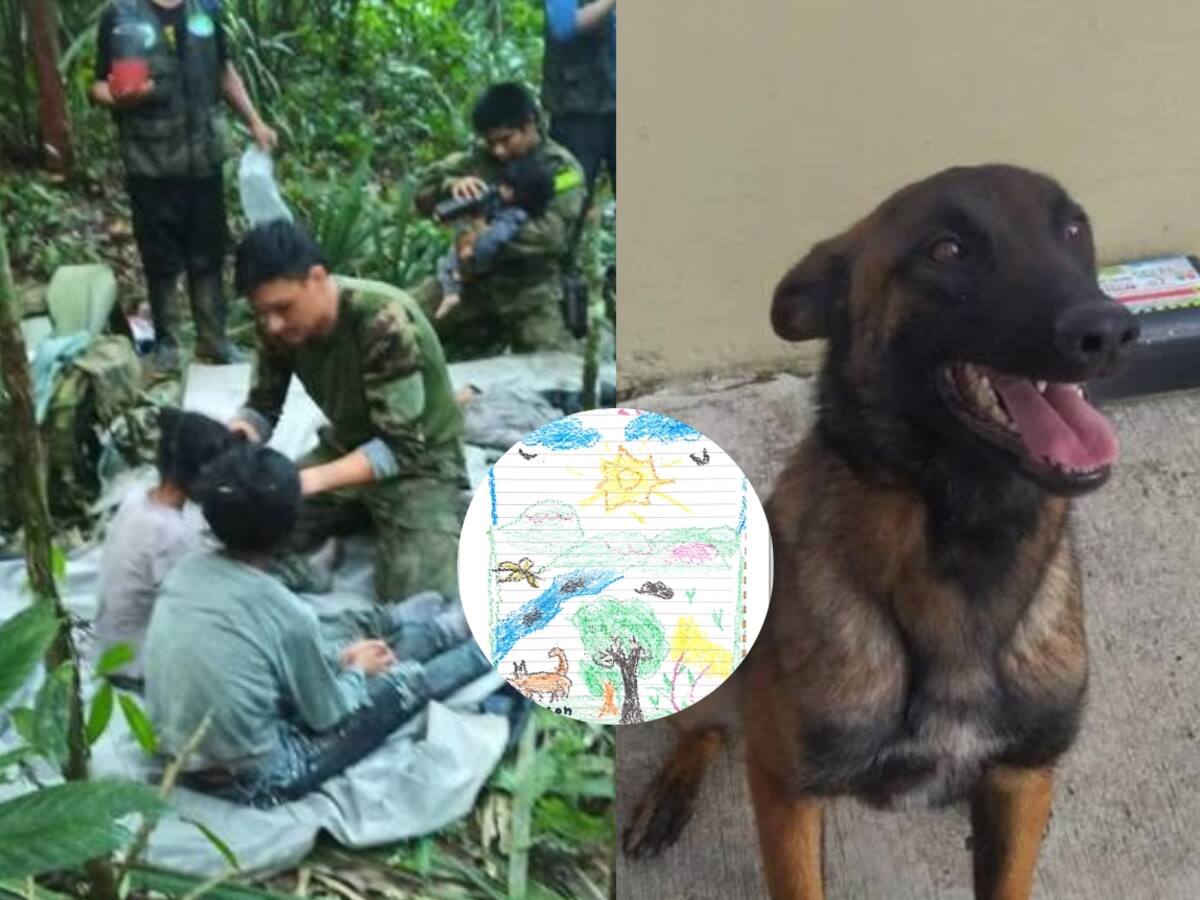 Los dibujos con los que niños rescatados en la selva confirman que estuvieron con Wilson