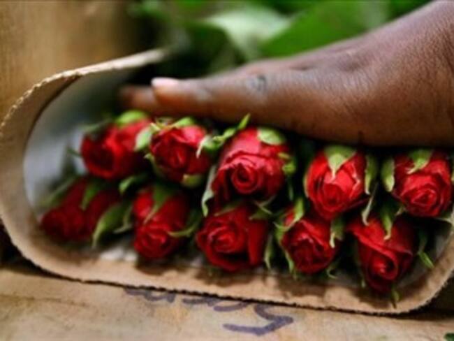 Un total de 4.200 cajas de flores colombianas serán las primeras en entrar a EE.UU. con TLC