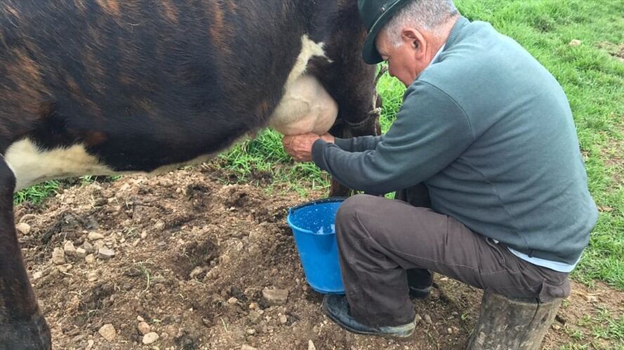 UE y Gobernación de Boyacá unen esfuerzos para crear centro de promoción del queso paipa . Foto: La W