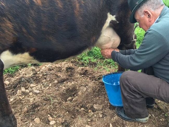 UE y Gobernación de Boyacá unen esfuerzos para crear centro de promoción del queso paipa . Foto: La W