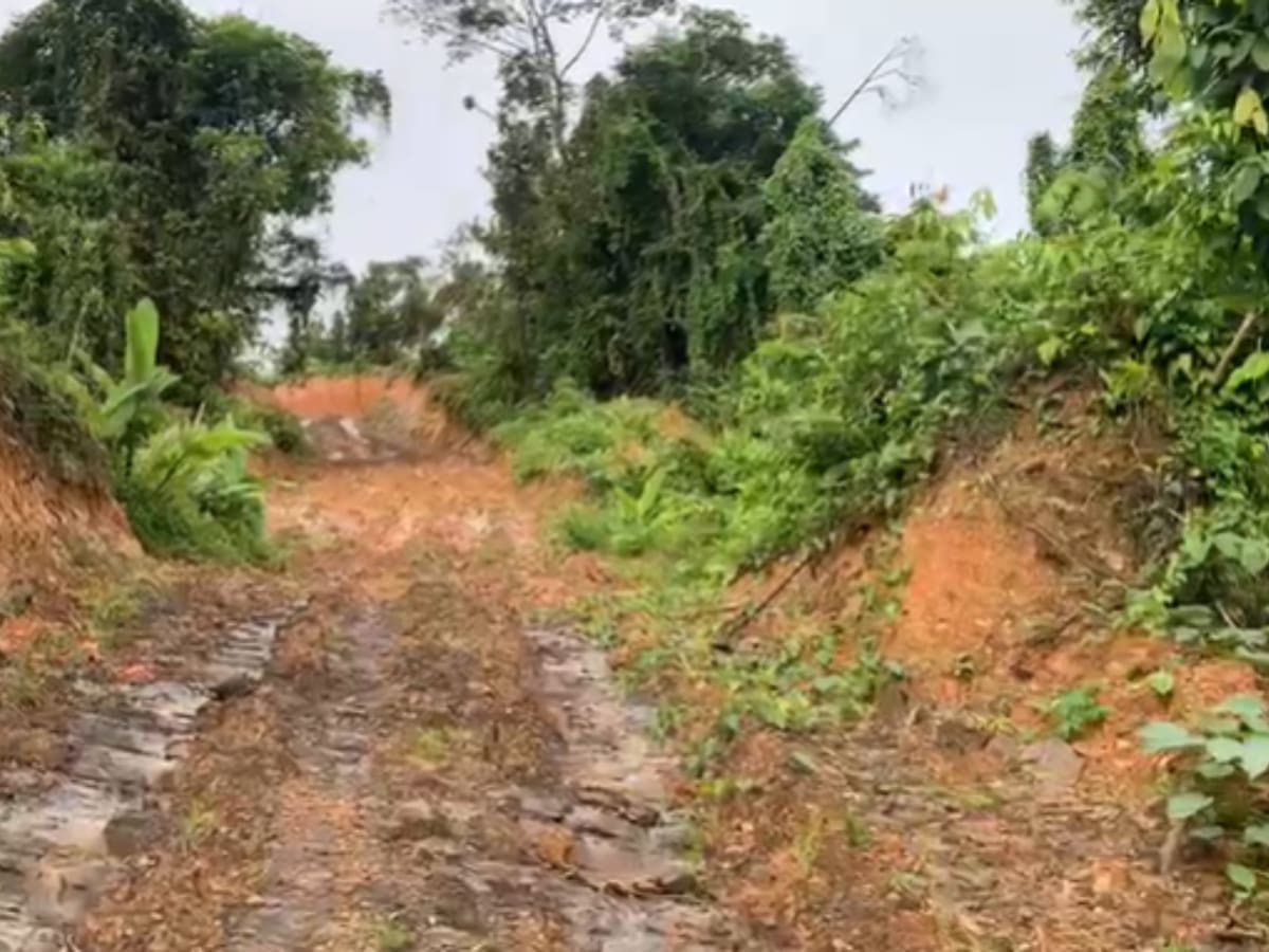 Atrato, Chocó: “víctima” del ‘mico’ en la Ley de Garantías