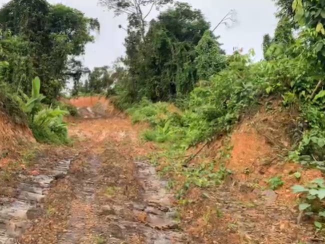 Vía en Atrato, Chocó. Foto: Cortesía para Sigue La W.