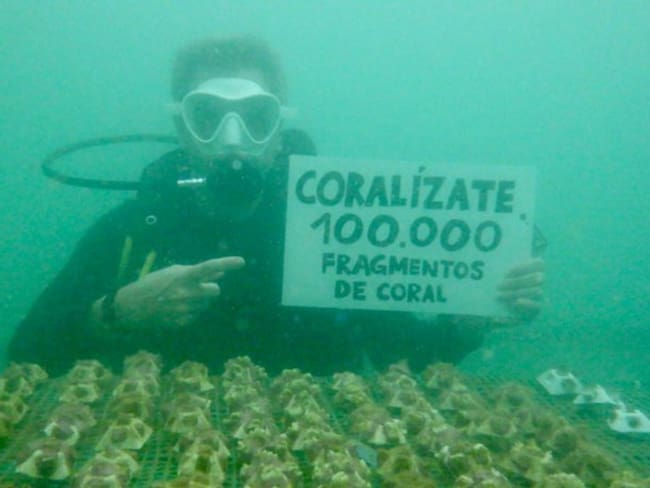 Imagen de la campaña ‘Coralizate. Foto: Cortesía Ministerio de Ambiente.