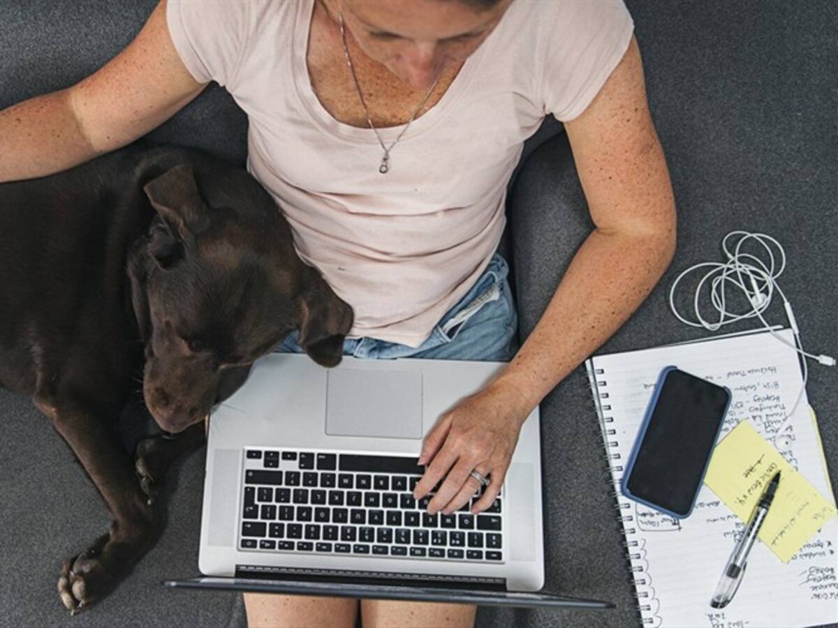 ¿Cuál es la diferencia entre trabajo en casa y teletrabajo?