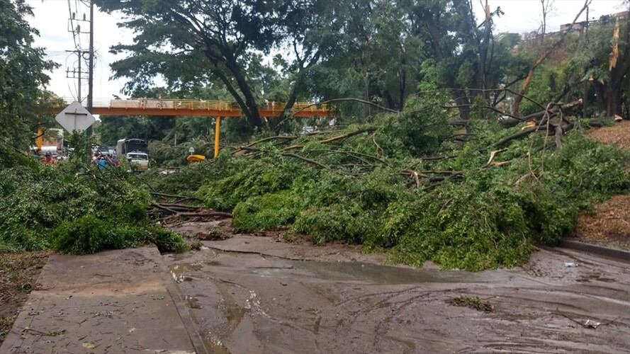 Las emergencias son atendidas por cuatro máquinas con 17 unidades. Foto: Cortesía