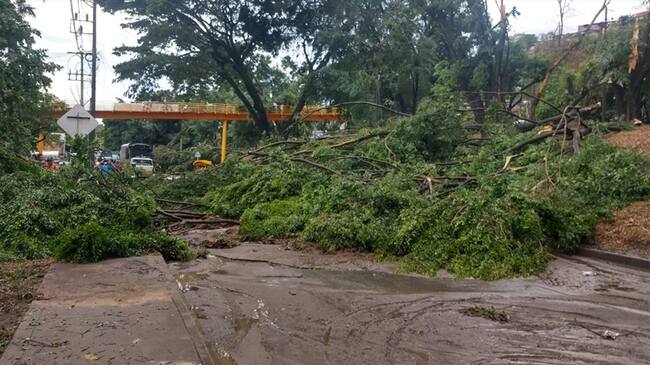 Las emergencias son atendidas por cuatro máquinas con 17 unidades. Foto: Cortesía