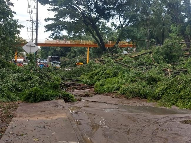 Las emergencias son atendidas por cuatro máquinas con 17 unidades. Foto: Cortesía