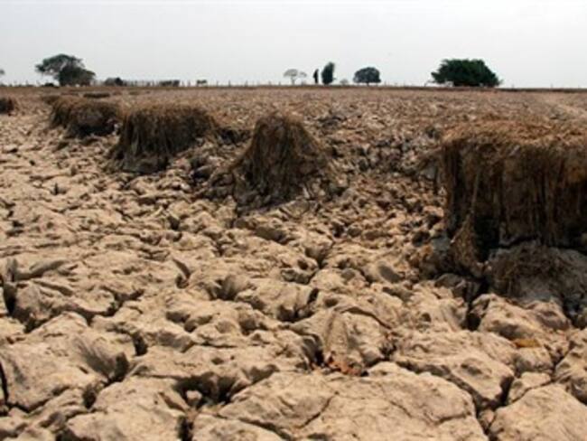 Foto: Archivo Colprensa.