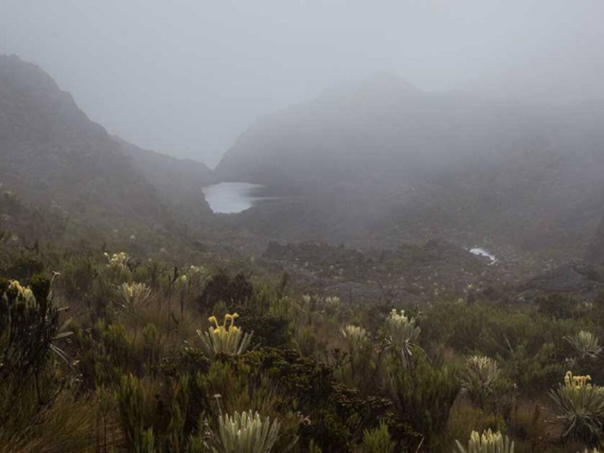Hoy se realiza audiencia pública en Bucaramanga sobre la delimitación de páramos
