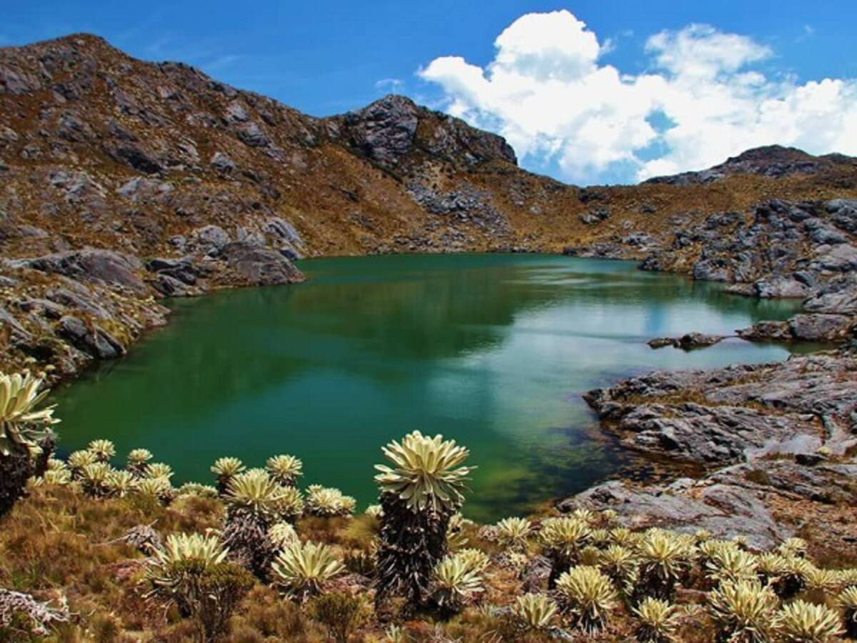 Defensores del Páramo de Santurbán alzaron su voz por el proceso de delimitación