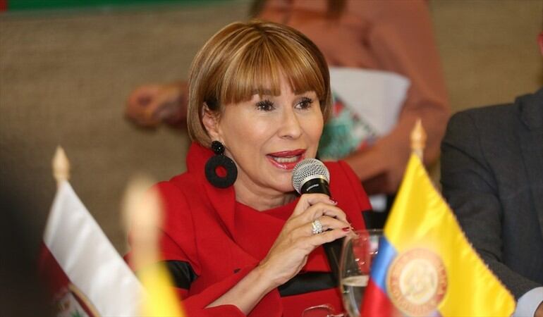 ¿Qué opina de las declaraciones de Alicia Arango sobre robo de celulares y asesinato de líderes?. Foto: Colprensa