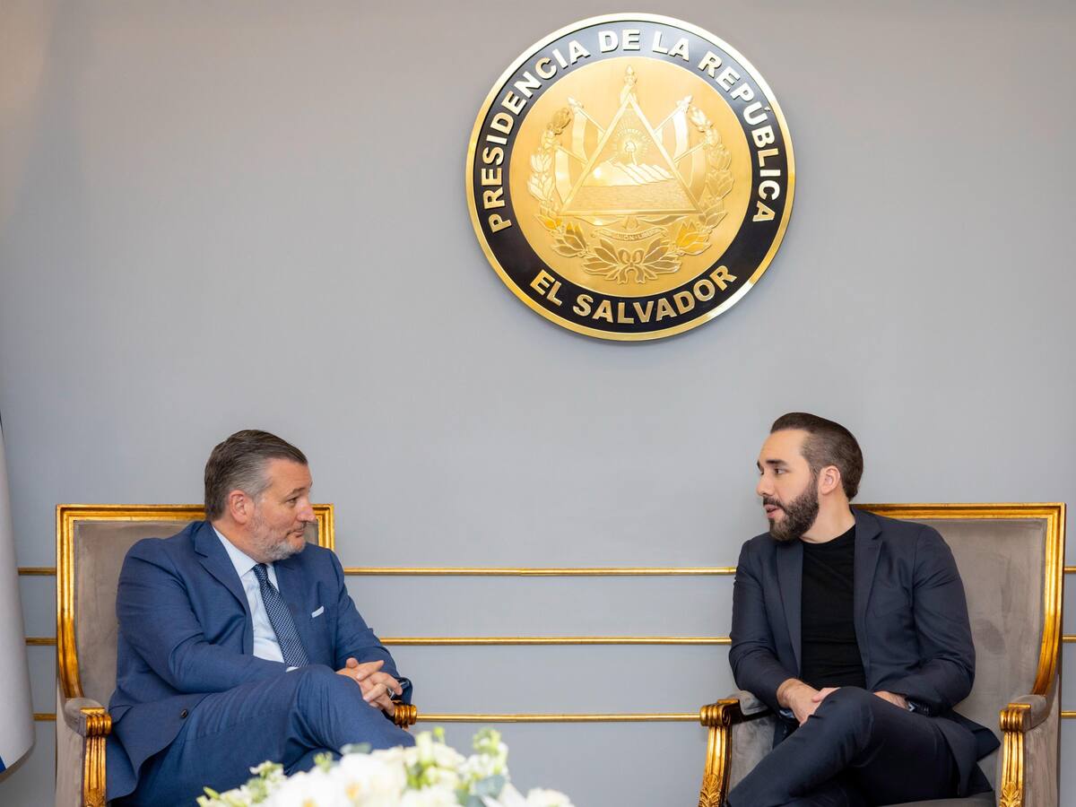 Ted Cruz y Nayib Bukele hablaron sobre “tácticas” contra maras