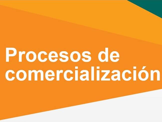 Proceso de comercialización