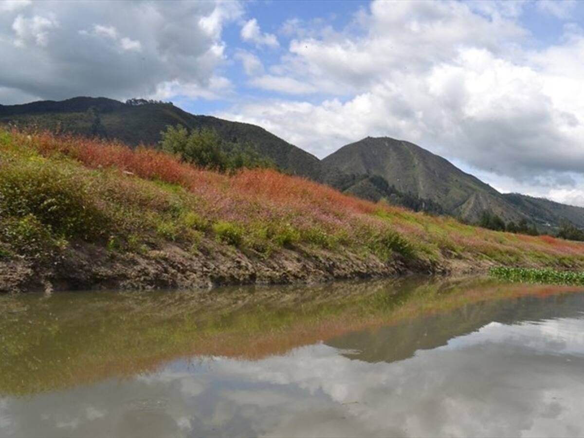 CREG prepara resolución con medidas para evitar racionamiento de energía a final de año