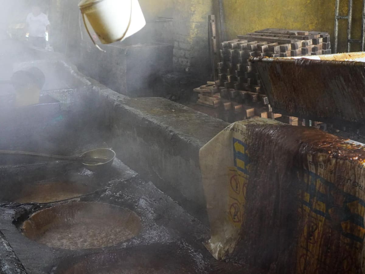 Paneleros de Nariño se van a paro