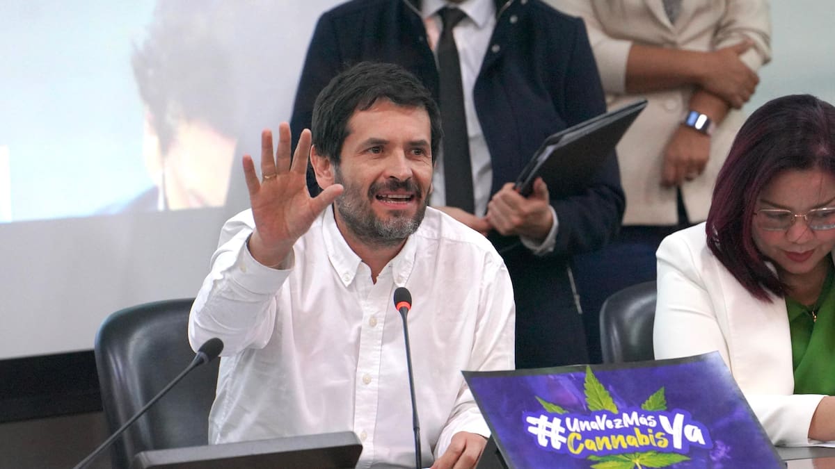 Proyecto que regula el cannabis de uso adulto superó su primer debate en el Congreso