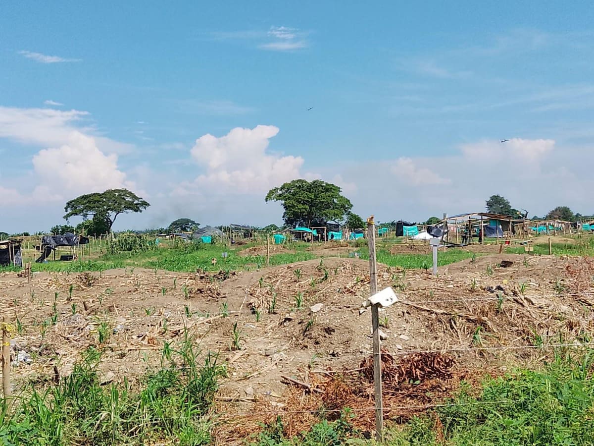 Desalojan a varias familias del humedal Berlín en la margen izquierda de Montería