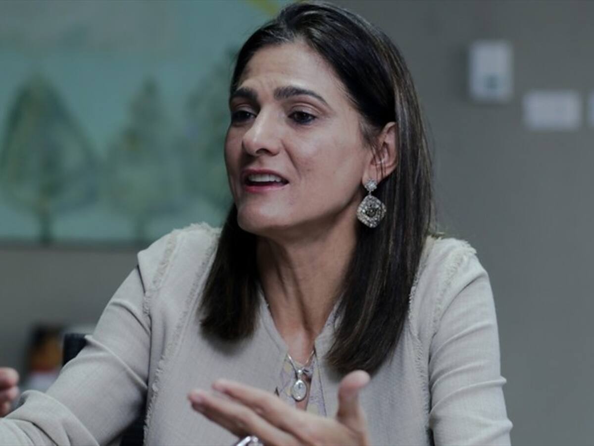 Recursos para adjudicación de APP de río Magdalena están asegurados, dice Mintransporte