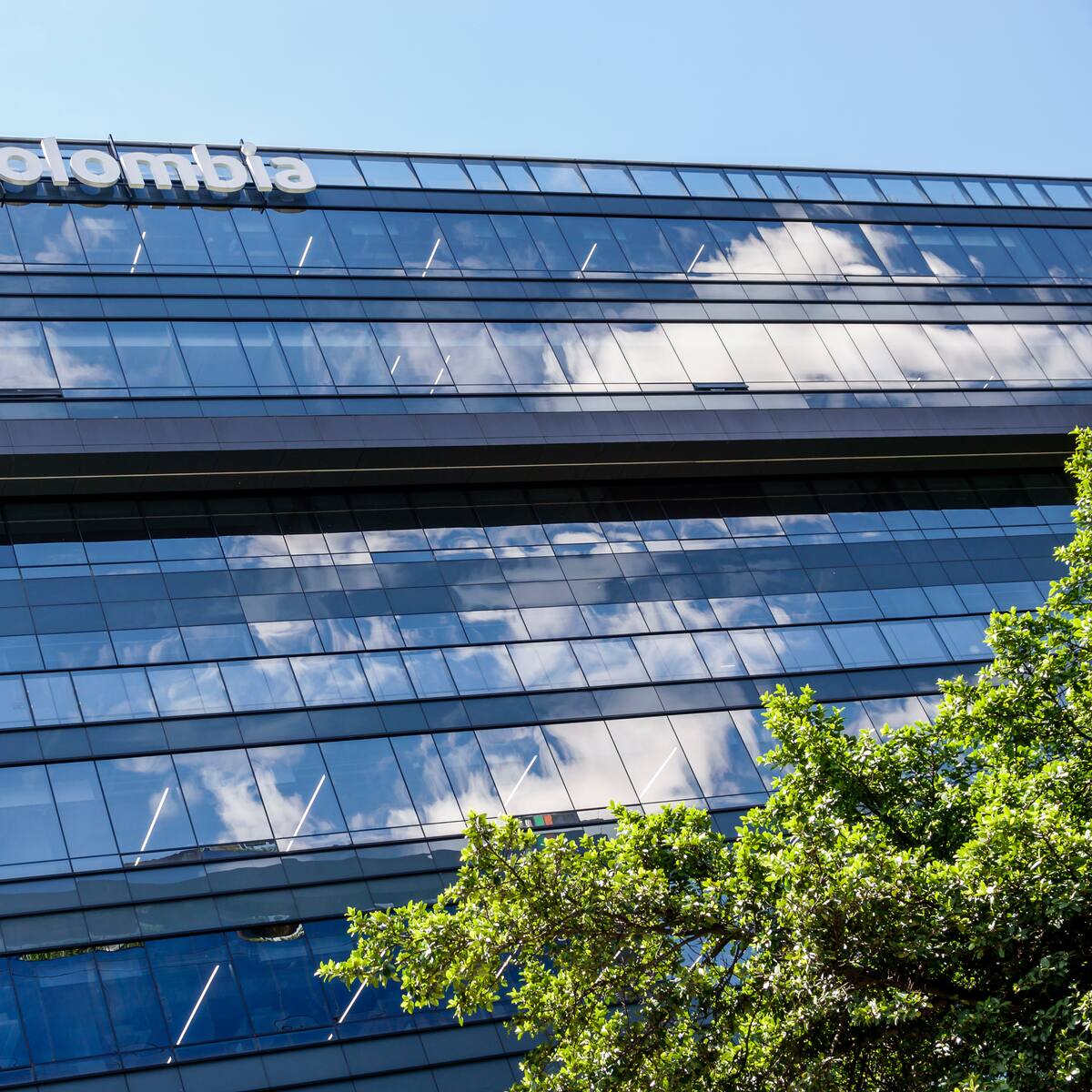 ¿Necesita un crédito? Conozca cómo puede acceder al servicio de bancos que lo ofrecen sin codeudores