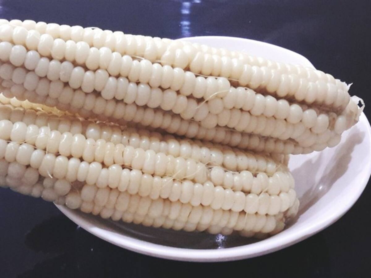 Minagricultura anuncia apoyo a la comercialización de maíz blanco en Córdoba