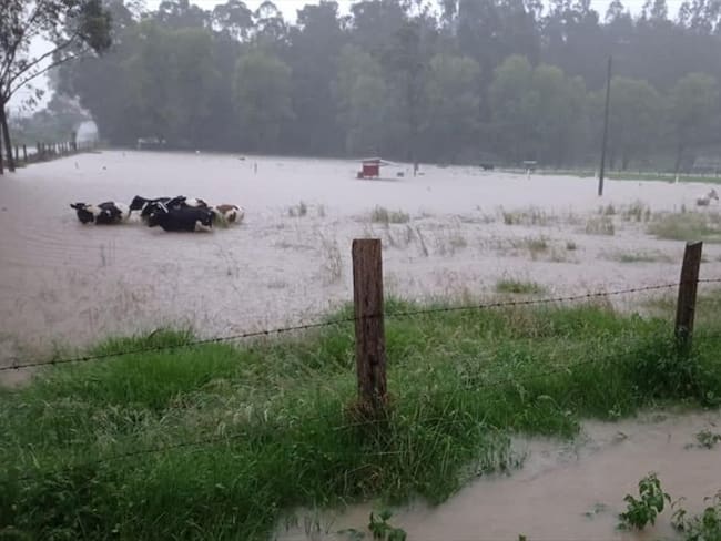 Las vías principales del municipio fueron habilitadas temporalmente.. Foto: Alcaldía San Miguel de Sema