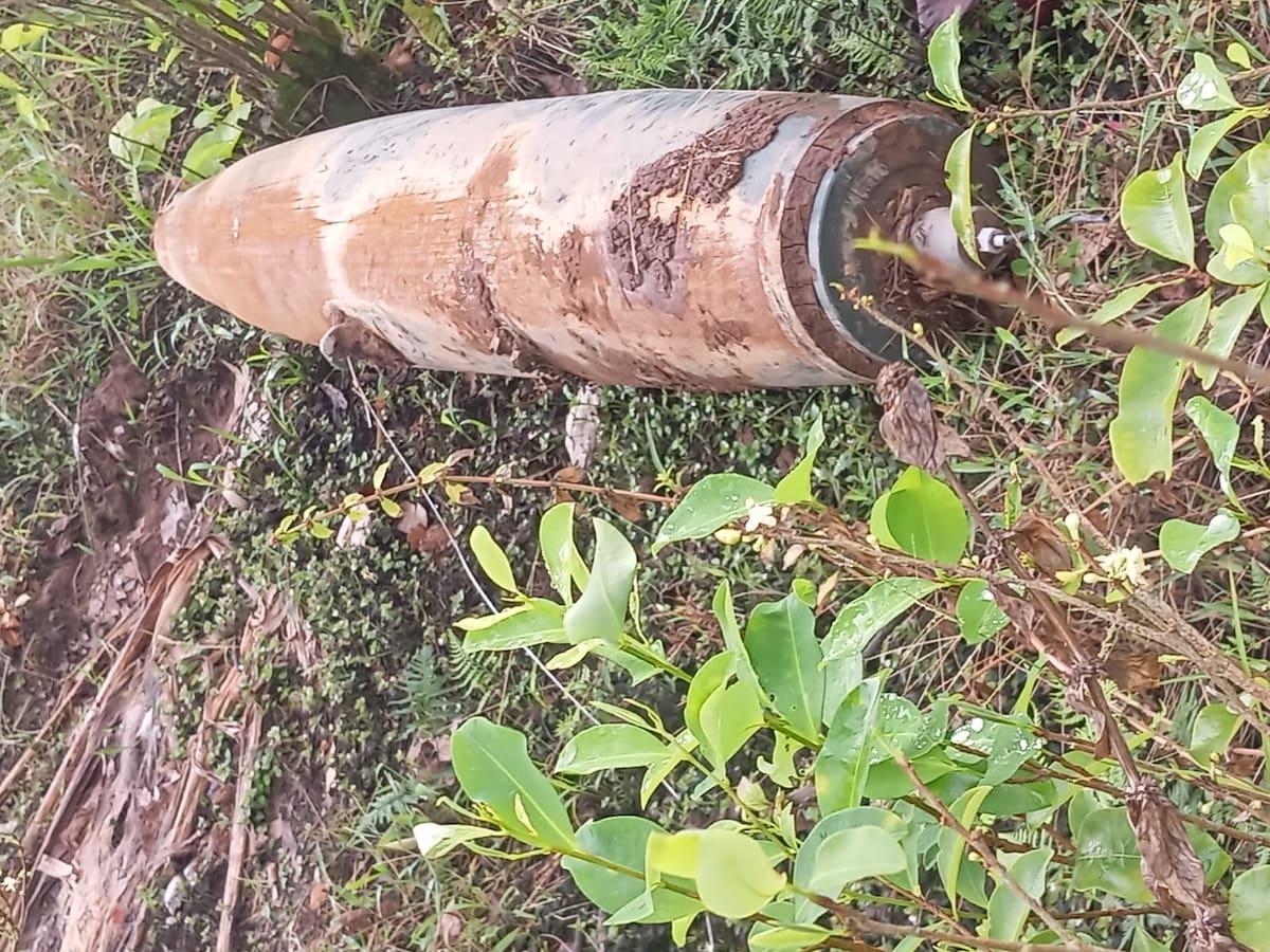 “Hay 27 cuerpos calcinados”: Petro denuncia bombardeos de Ecuador en frontera colombiana