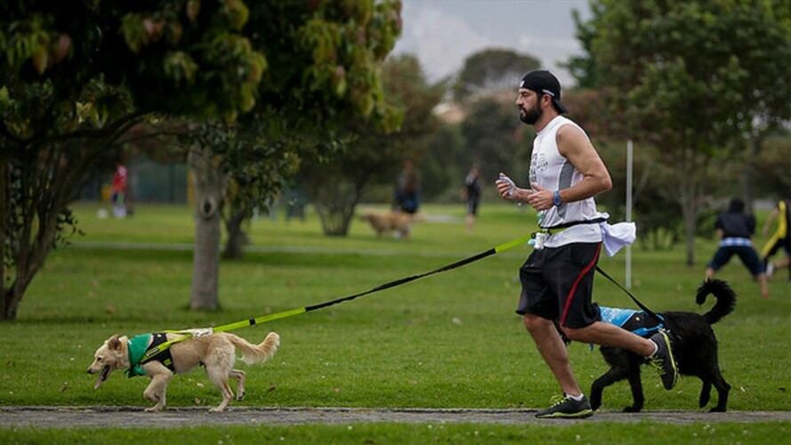 OMS: uno de cada cuatro adultos no realiza suficiente actividad física. Foto: Colprensa