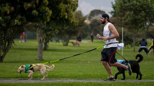 OMS: uno de cada cuatro adultos no realiza suficiente actividad física. Foto: Colprensa