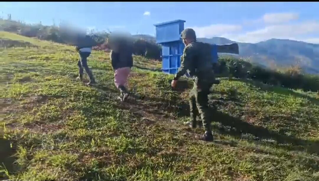 Disidentes de las Farc se entregaron al Ejército en el Cauca. Foto: Suministrada
