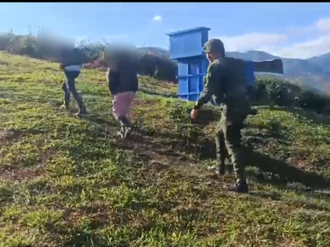 Disidentes de las Farc se entregaron al Ejército en el Cauca. Foto: Suministrada