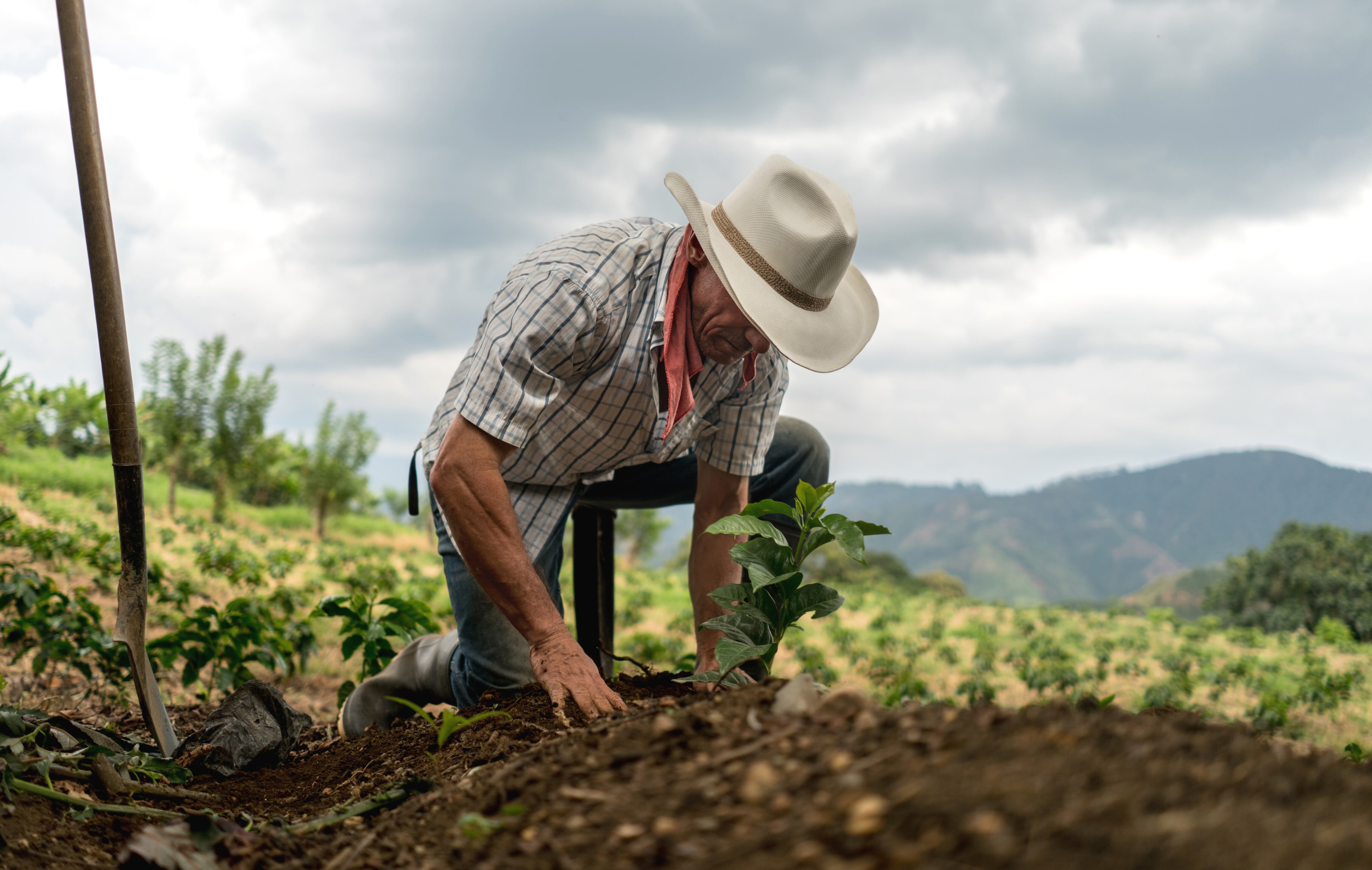 El 7 de noviembre de 2024, en Bogotá se realizará el evento El Futuro de la Colombia Agraria, diálogos por una tierra equitativa, productiva y sostenible| Foto: Getty Images