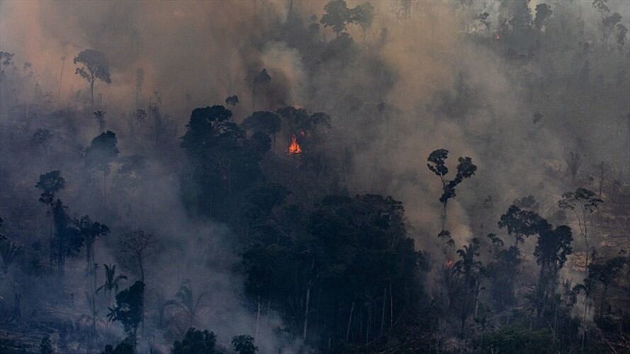 El G7 aprueba plan de ayuda para la Amazonía. Foto: Getty Images