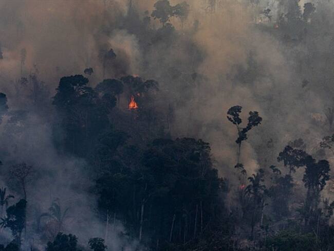 El G7 aprueba plan de ayuda para la Amazonía. Foto: Getty Images