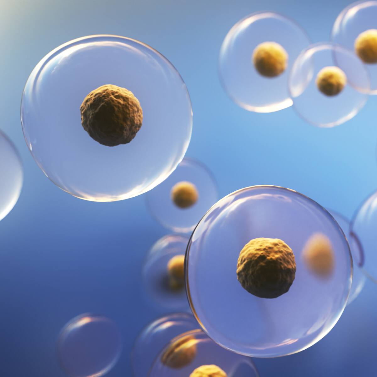 ¿Células madre para combatir cáncer y enfermedades degenerativas? Especialista explicó cómo funciona