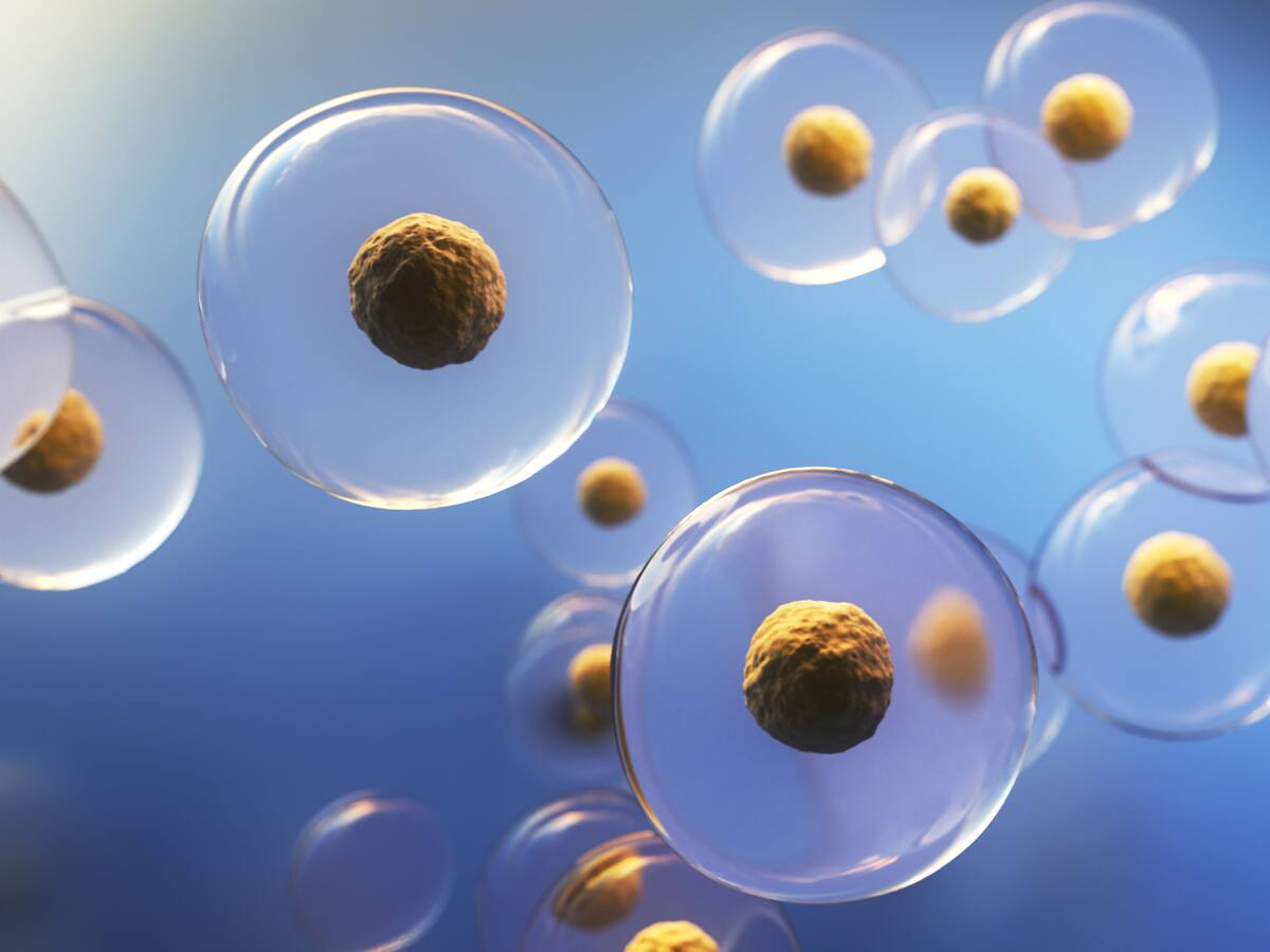 ¿Células madre para combatir cáncer y enfermedades degenerativas? Especialista explicó cómo funciona