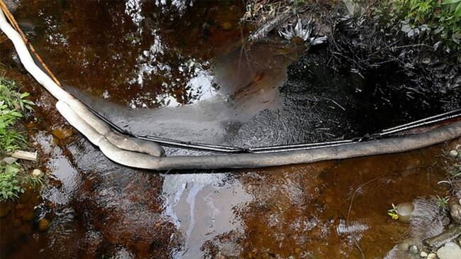 Imagen de referencia. Foto: Colprensa