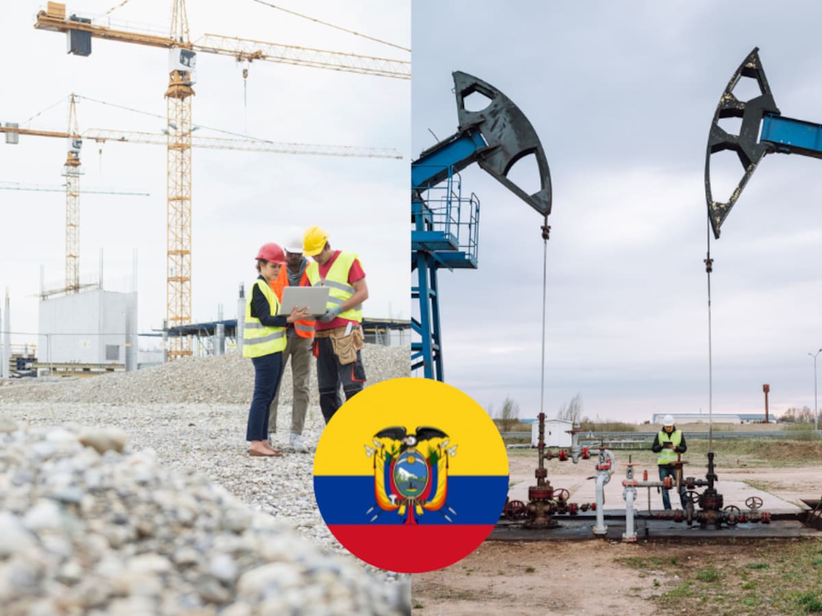 Trabajar en Ecuador: ¿Cuáles son las profesiones mejor pagadas en ese país?