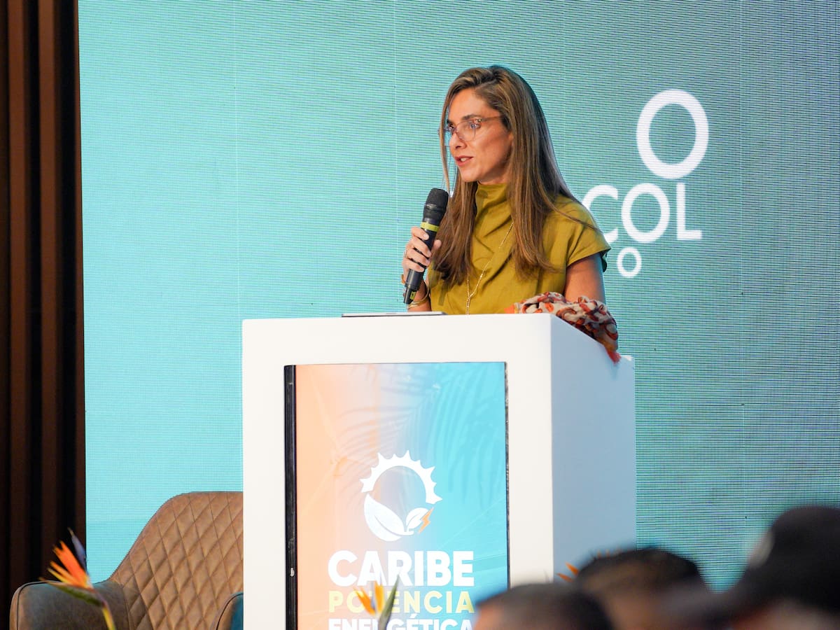 El Caribe pierde oportunidades en energía limpia por retrasos en permisos: Acolgen