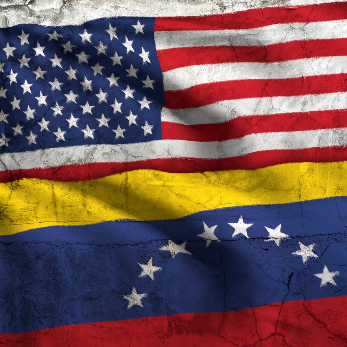 ¿Los venezolanos podrán entrar a Estados Unidos con visa de turista? Excomisionada responde