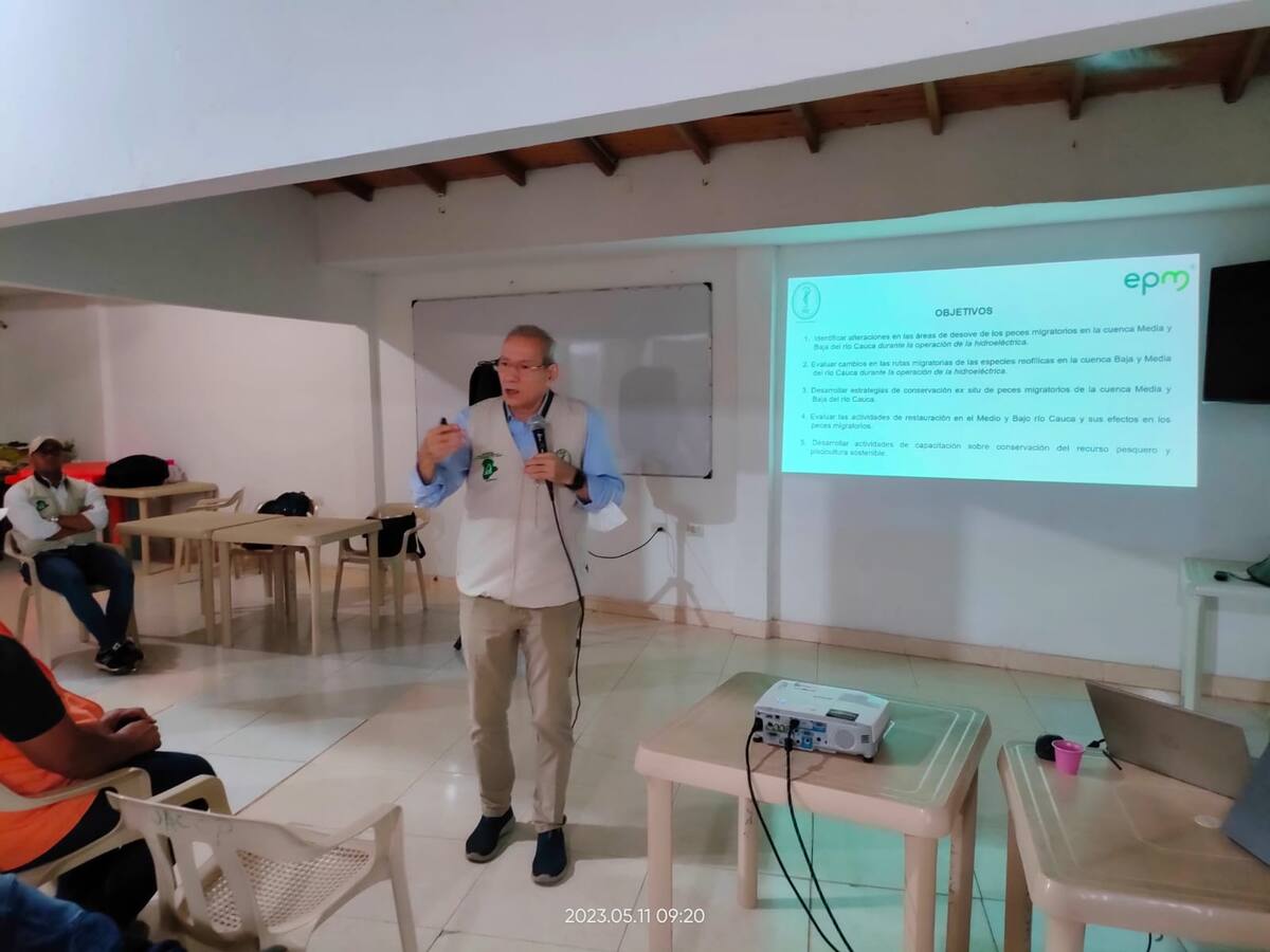 Evaluarán impacto en el recurso pesquero del río Cauca por operación de Hidroituango